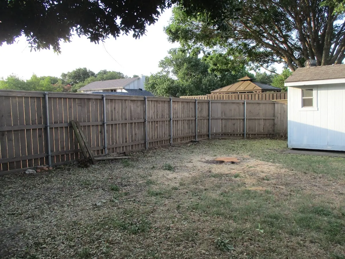 Cleared yard after professional tree removal in Livingston